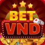 betvnd game