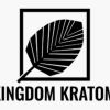 Proper And Valuable Knowledge About Top Kratom Brands