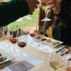 Explore Canberra's Wineries With a Dash of Joy