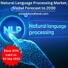 Global Natural Language Processing Market Trends, Application, And Regional Forecast To 2030